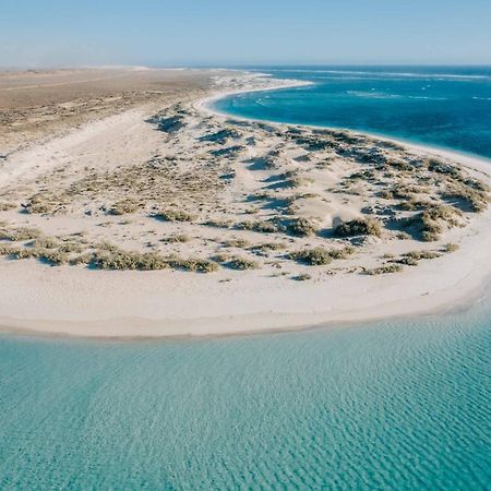 Gnaraloo Station - Homestead كارنارفون المظهر الخارجي الصورة